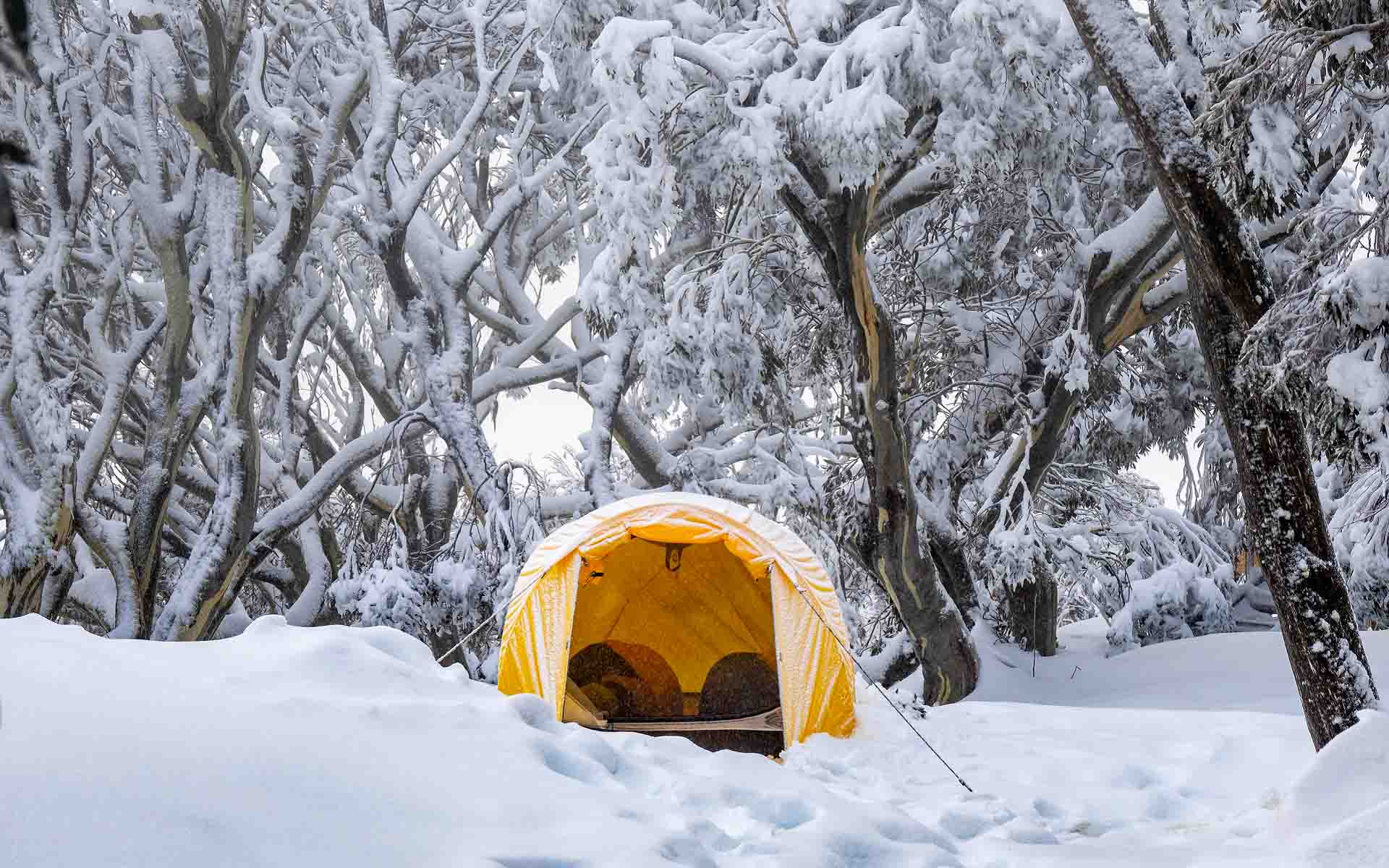 Expedition 2-Person Tent set-up in the snow amongst trees