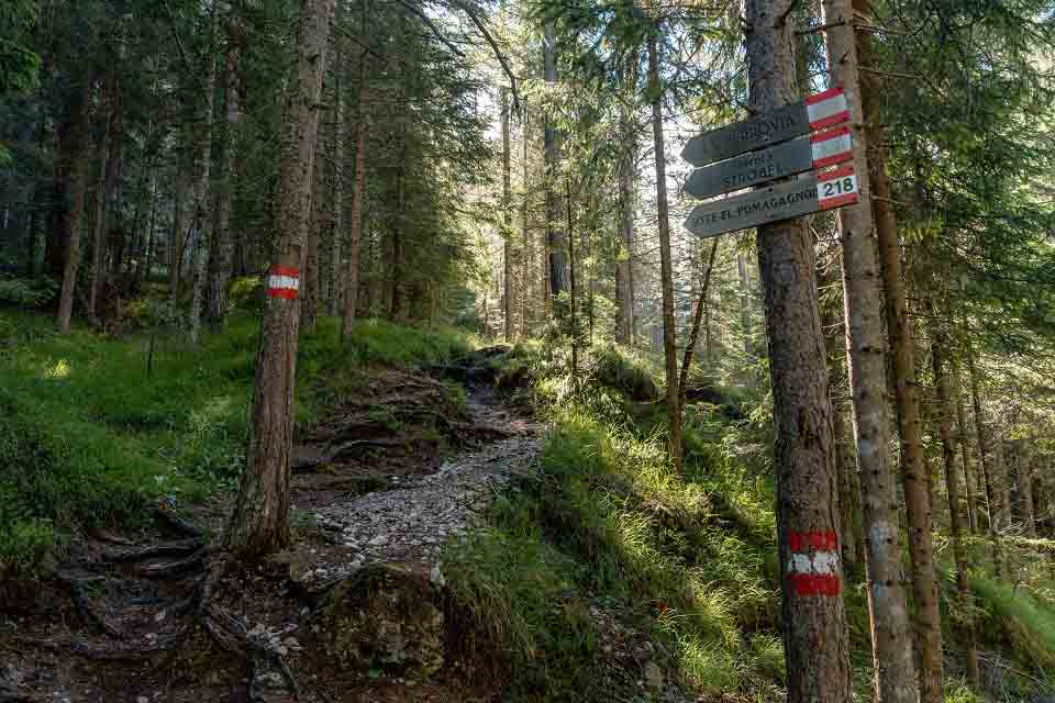 Sign mounted on tree trunks pointing to ‘Ferrata Strobel’