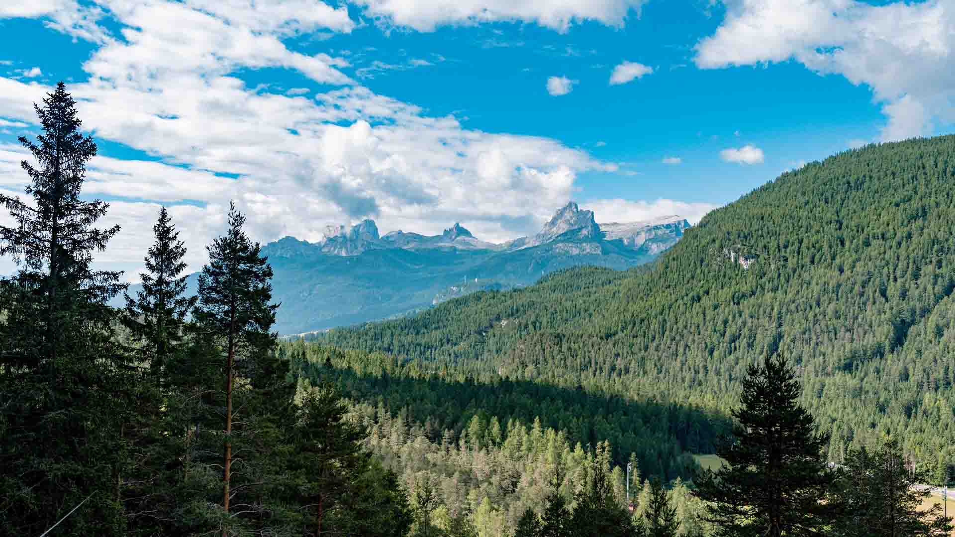 View between the trees from the Ferrata Strobel trail